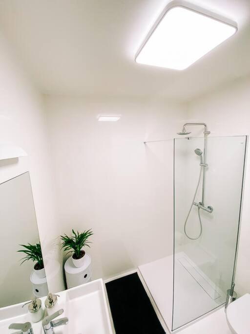 New Studio In Quiet Part Of The City Center Bratislava Luaran gambar